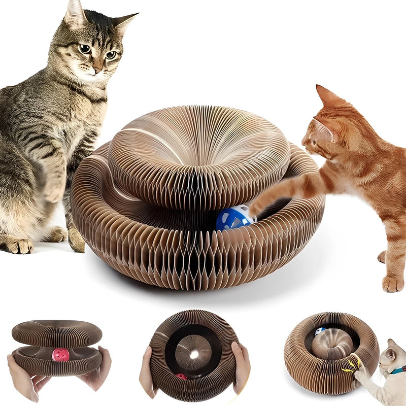 Interactive Toy for Cats - Magic Roll - Shop for less