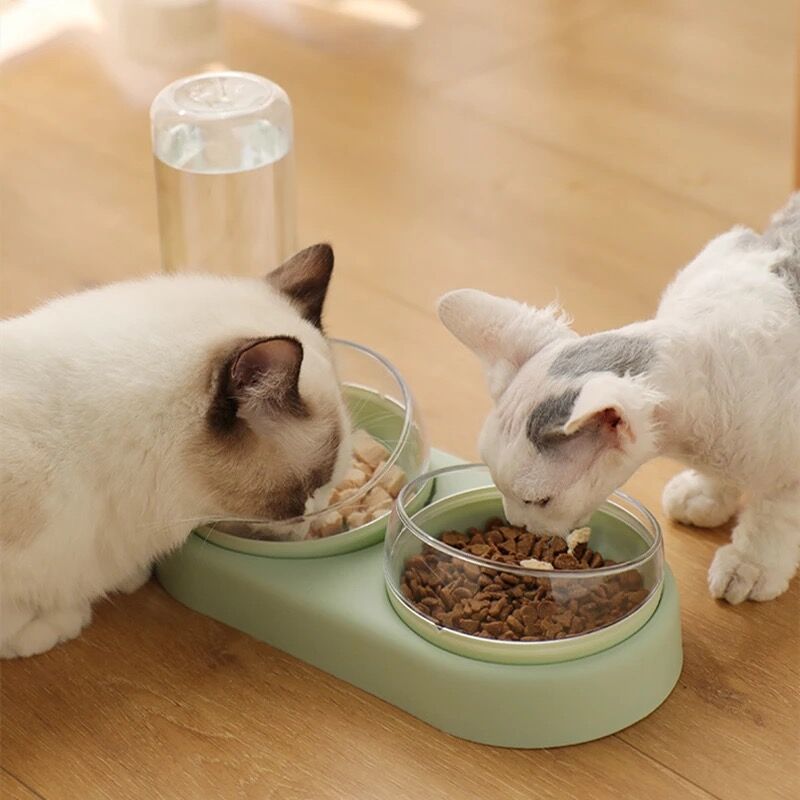 3 in 1 Cat Drinking Fountain and Feeder - Shop for less