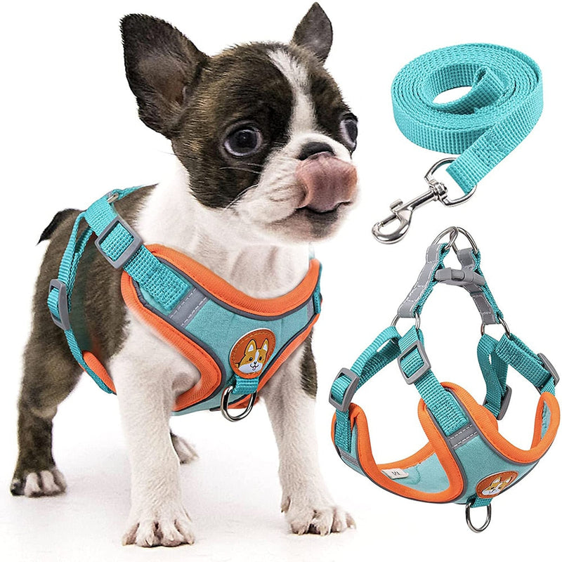 Dog Chest Collar - Dog Ride - Shop for less