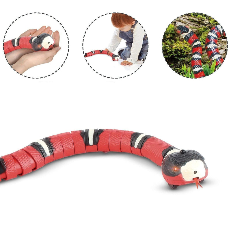 Cat Toy - Smart Snake with USB - Shop for less