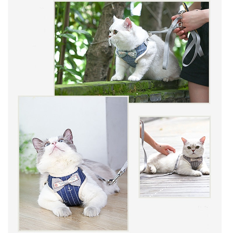 Cat Collar with Adjustable Guide - Shop for less