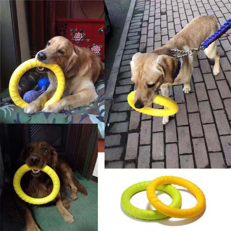 Dog Teether Toy - Training Disc - Shop for less