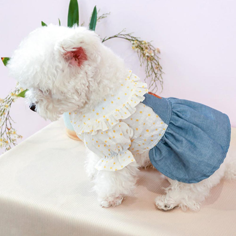 Pet Bally Dress - Shop for less