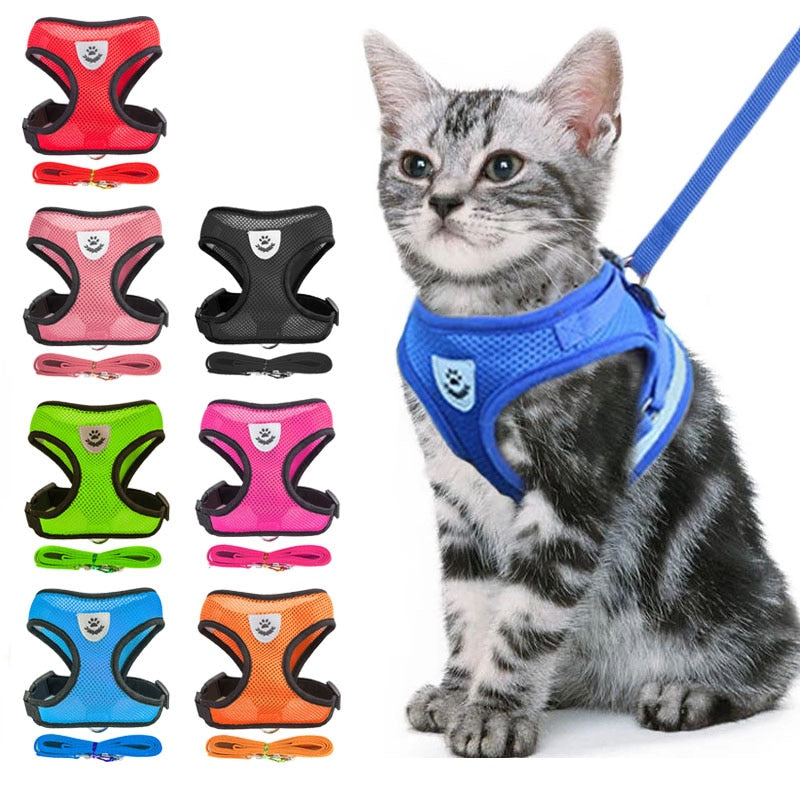 Chest Collar for Cats - Shop for less