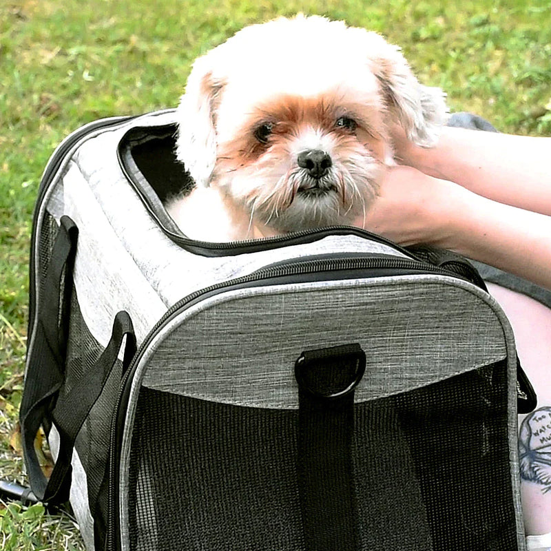 Transport bag for cats and small dogs - AirTravel - Shop for less