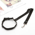 Safety Belt and Leash for Dogs - Dog Seat Belt - Shop for less