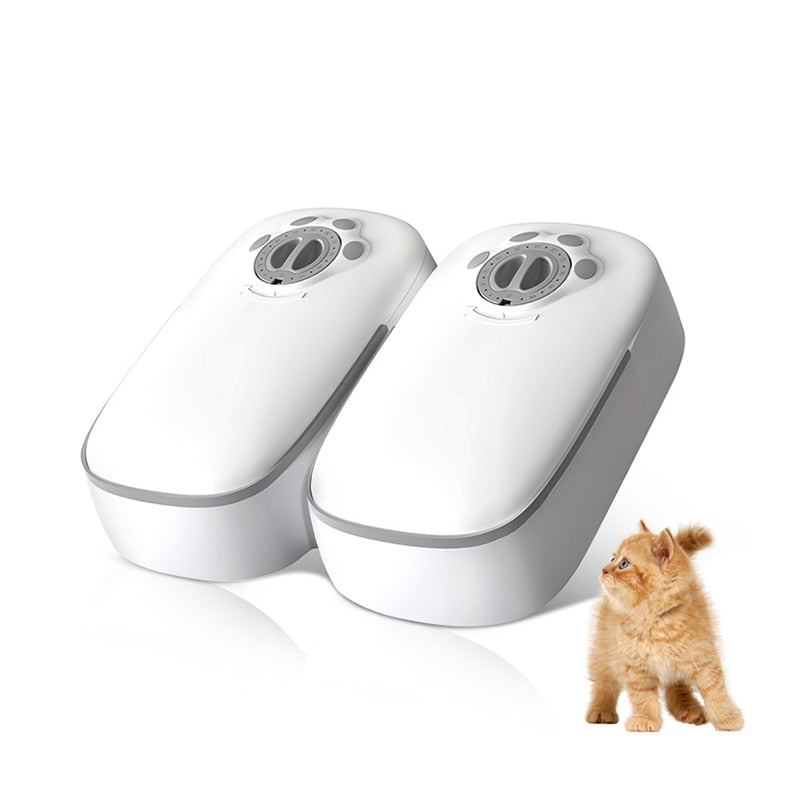 Double Automatic Cat Feeder with Timer - Shop for less