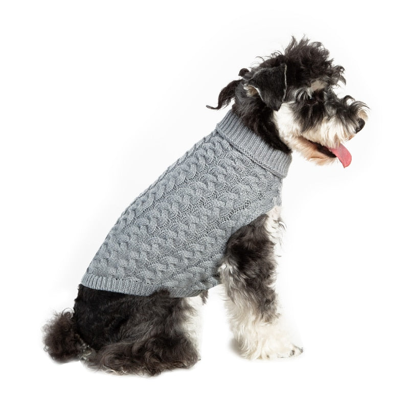 Winter Clothes for Small Breed Dogs - Shop for less