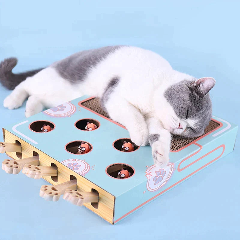 2 in 1 Interactive Cat Toy - Cat Kittens - Shop for less