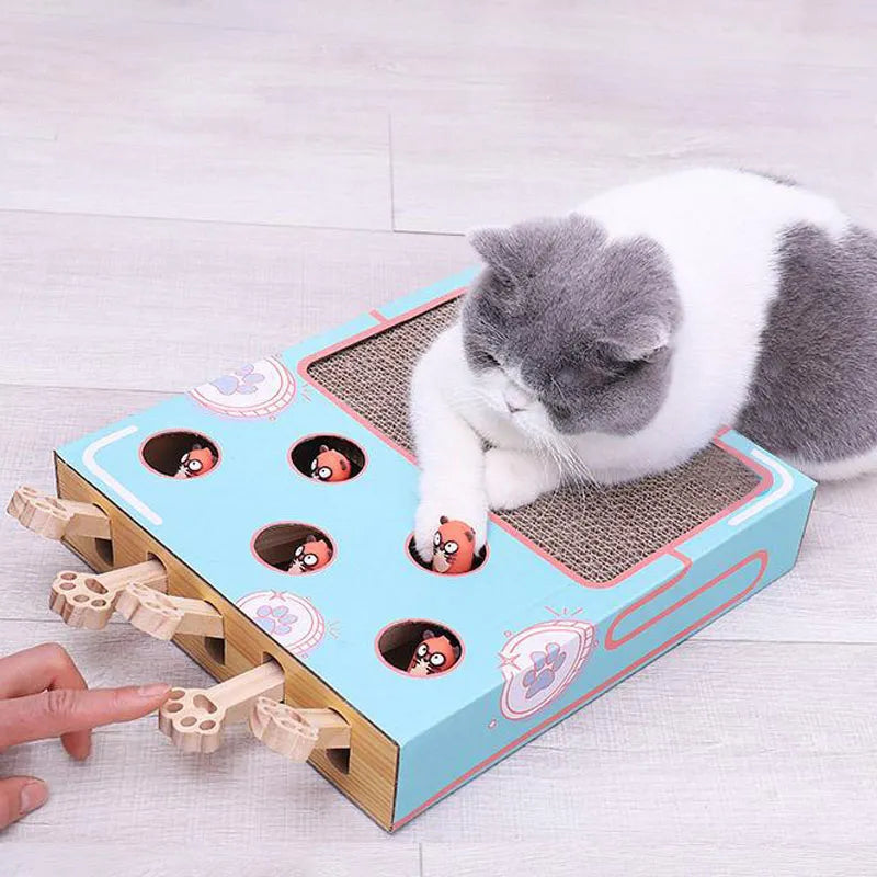 2 in 1 Interactive Cat Toy - Cat Kittens - Shop for less