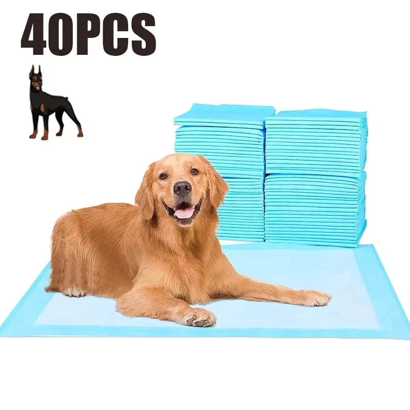 Dog Toilet Mat - Ultra Absorbent - Shop for less