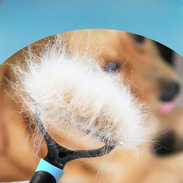 Scraping Brush for Dogs and Cats - Clipper Pro - Shop for less