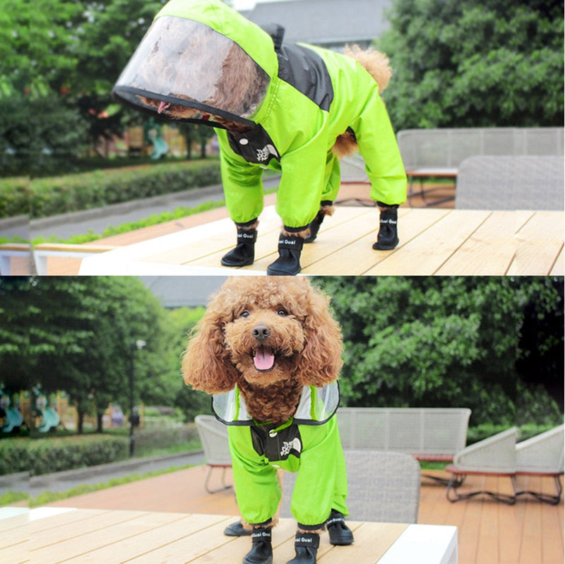 Raincoat for Small and Medium-sized Dogs - Shop for less