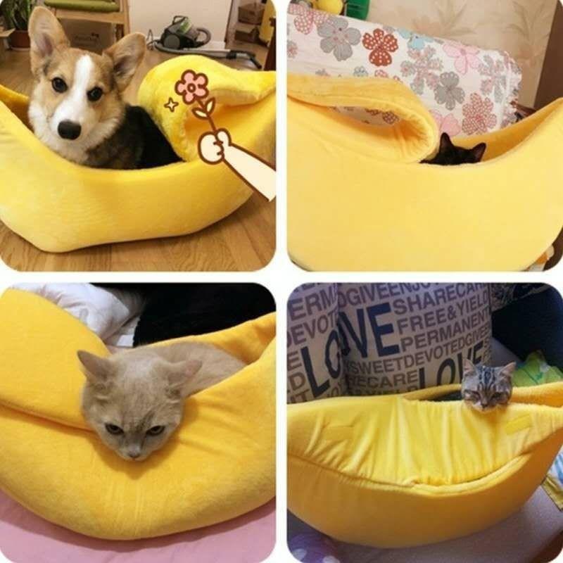 Cat Bed - Cat Banana - Shop for less