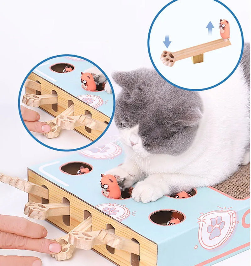 2 in 1 Interactive Cat Toy - Cat Kittens - Shop for less