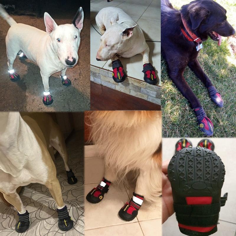 Anti-Slip Waterproof Dog Shoe - Paw Shoes - Shop for less