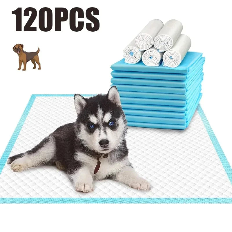 Dog Toilet Mat - Ultra Absorbent - Shop for less