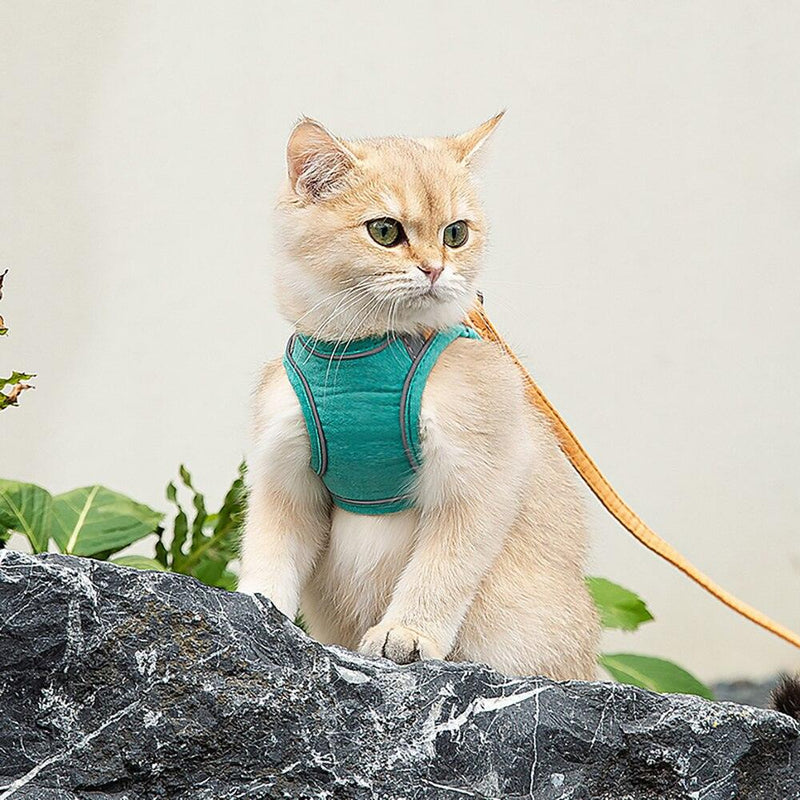 Anti-escape collar for cats - Smart Cat - Shop for less