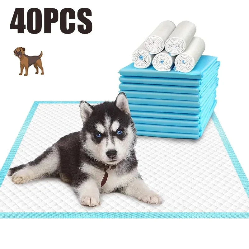 Dog Toilet Mat - Ultra Absorbent - Shop for less