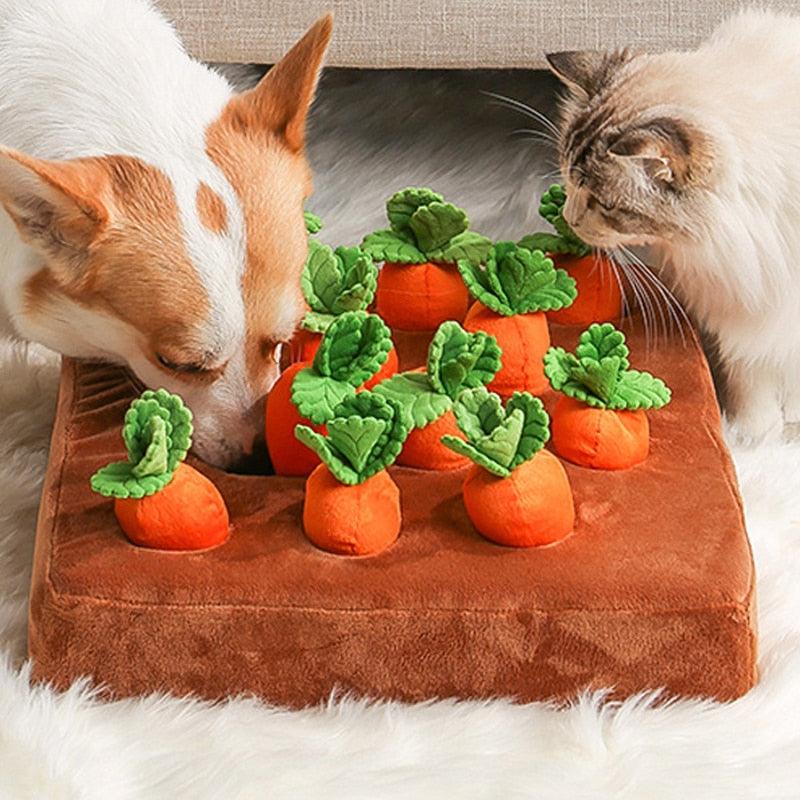 Interactive Toy for Pets - Carrot Farm - Shop for less