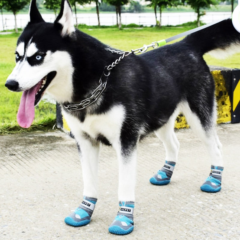 Anti-Slip Dog Shoe - Grip Shoes - Shop for less