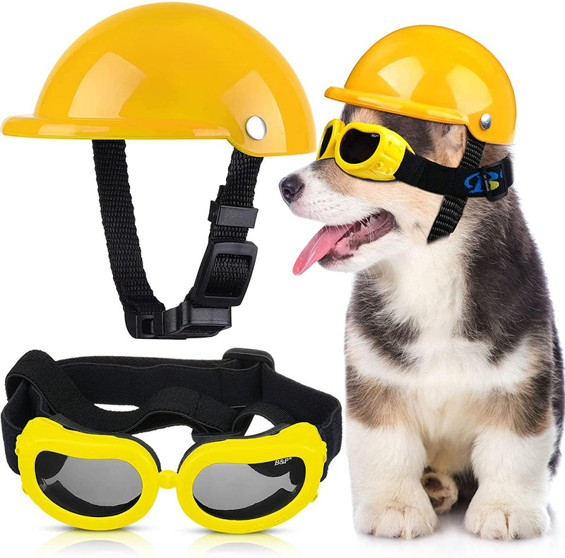 Helmet and Goggles for dogs - Jax Teller - Shop for less