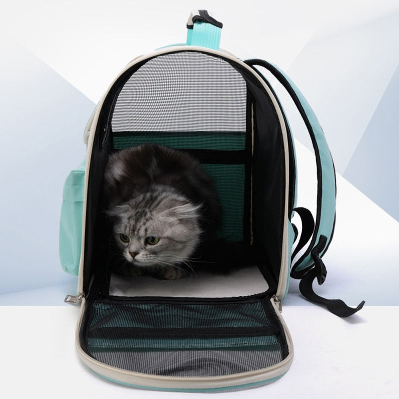 Cat Transport Bag - Hello Cat - Shop for less