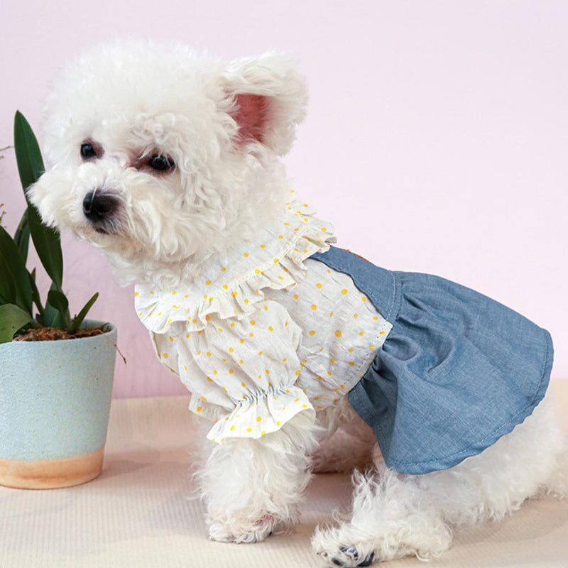 Pet Bally Dress - Shop for less