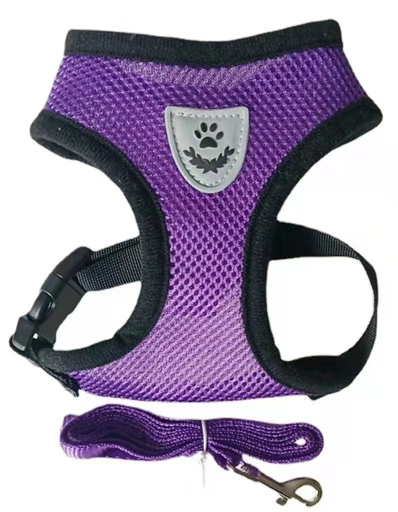 Chest Collar for Cats - Shop for less