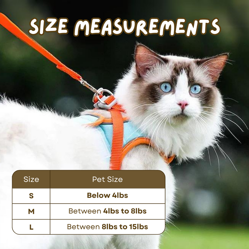 Cat Harness & Leash - Shop for less