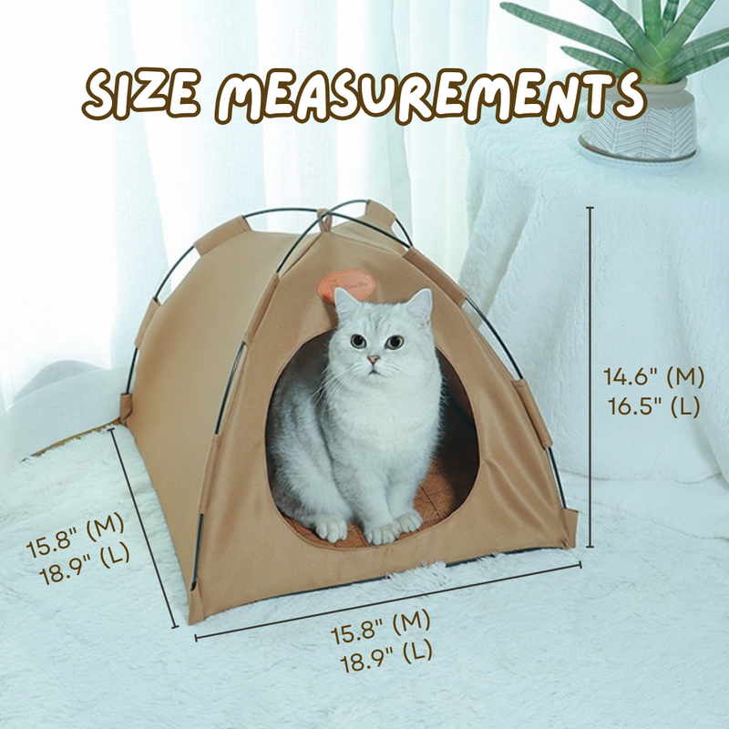 Cat Tent - Shop for less