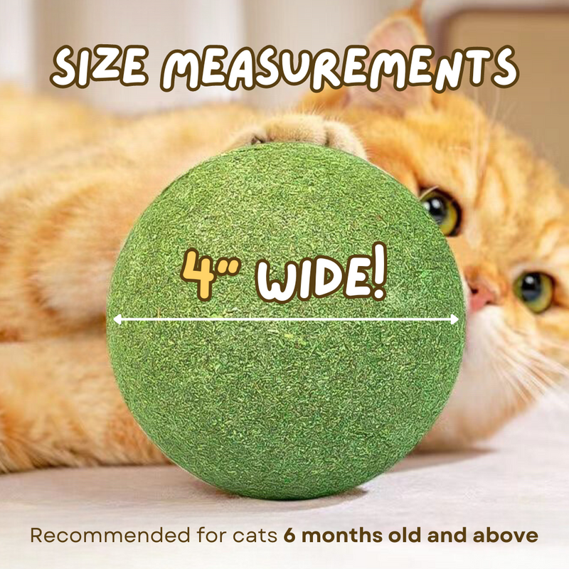 Jumbo Catnip Ball - Shop for less