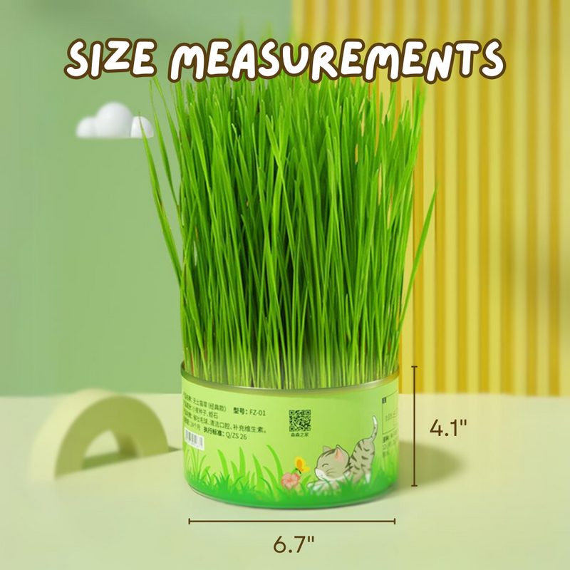 Fresh Canned Grass - Shop for less