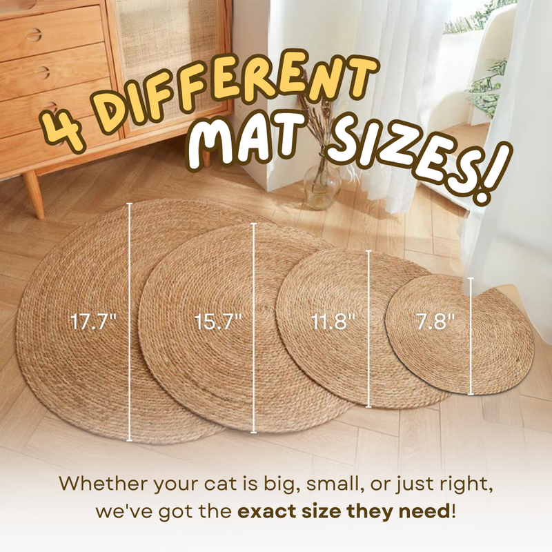 Cattail Scratcher Mat - Shop for less