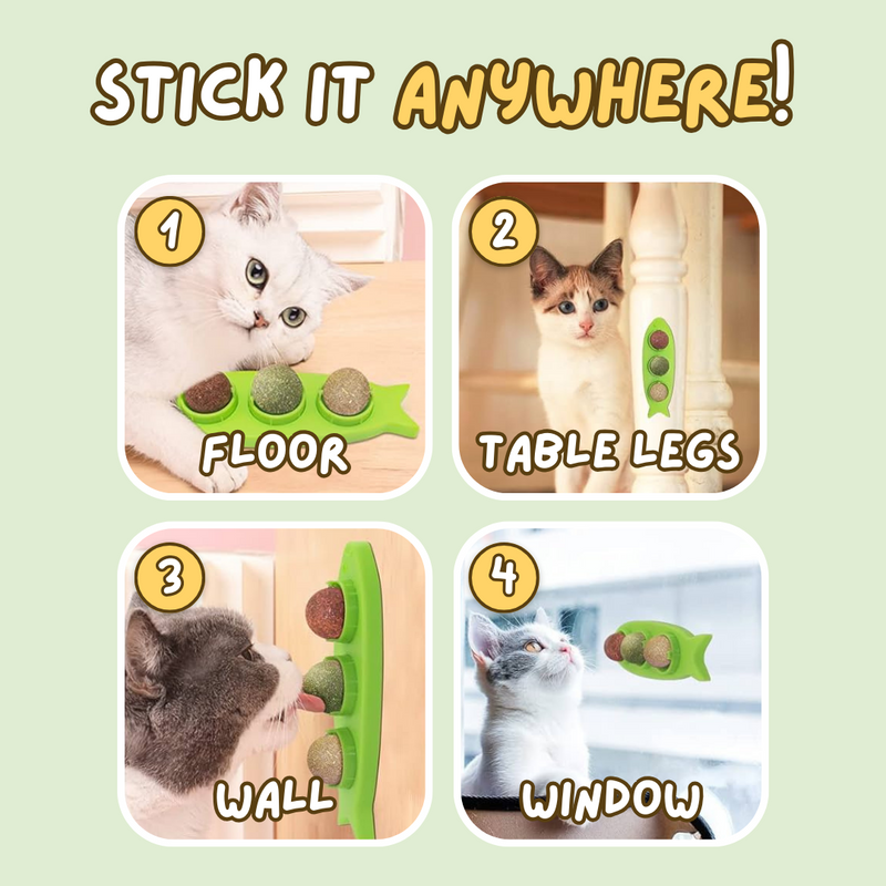 Stick-on Catnip Station - Shop for less