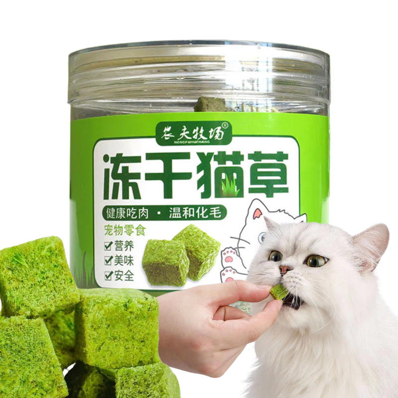 Cat Grass Treat - Shop for less