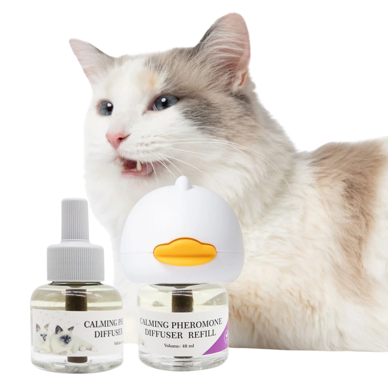 Cat Calming Pheromone - Shop for less