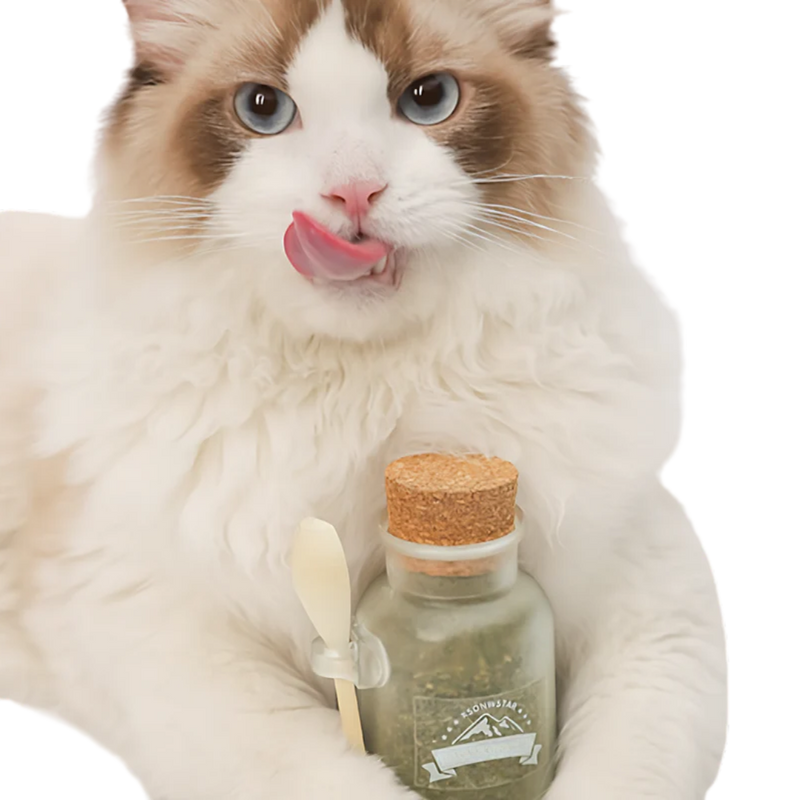 Catnip Tea - Shop for less