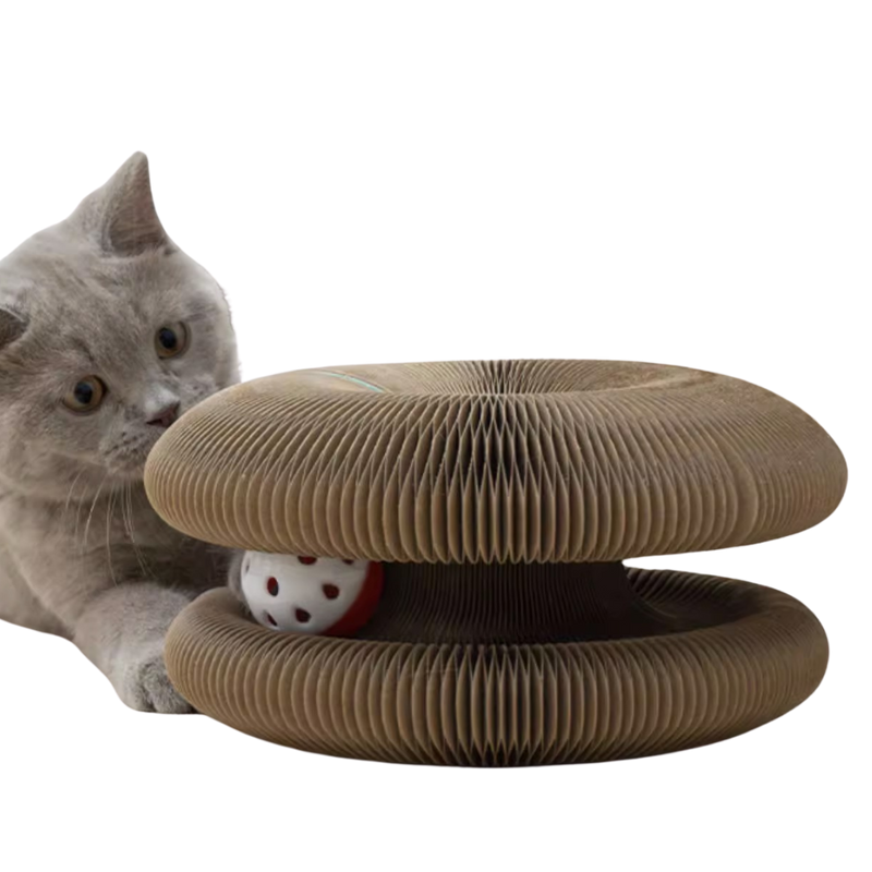 Cat Ball Toy - Shop for less