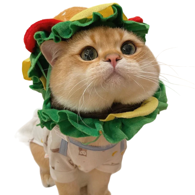 Cat Burger Cone - Shop for less