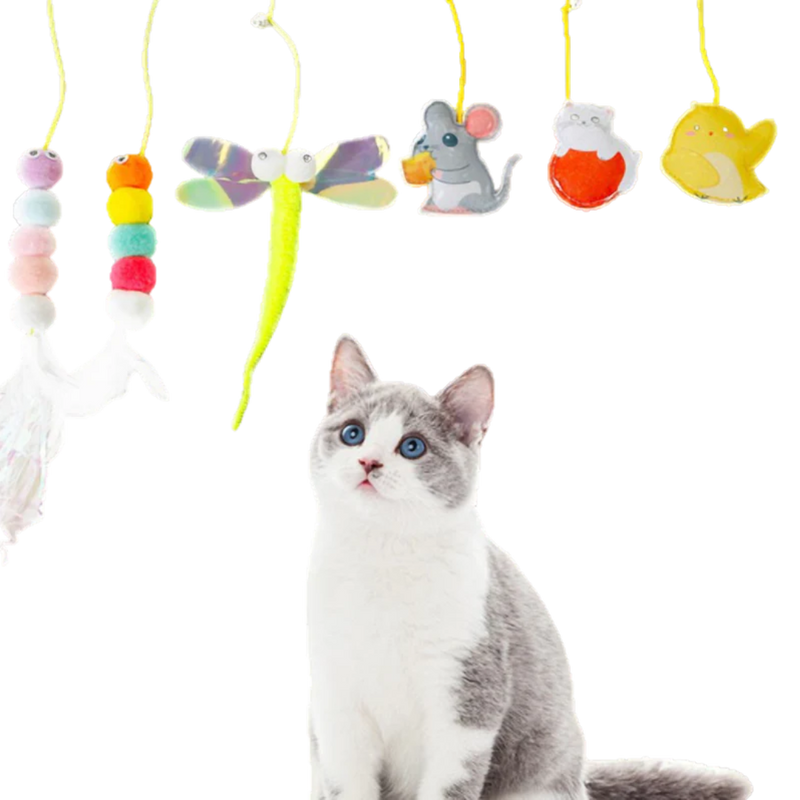 Dangling Cat Toy Set (6 PCS) - Shop for less