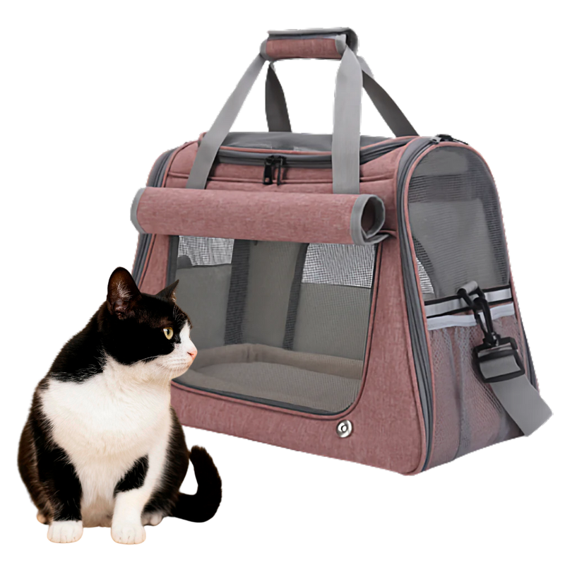 Cat Travel Bag - Shop for less