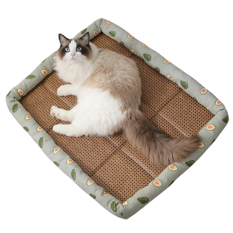 Snuggly Cooling Mat - Shop for less