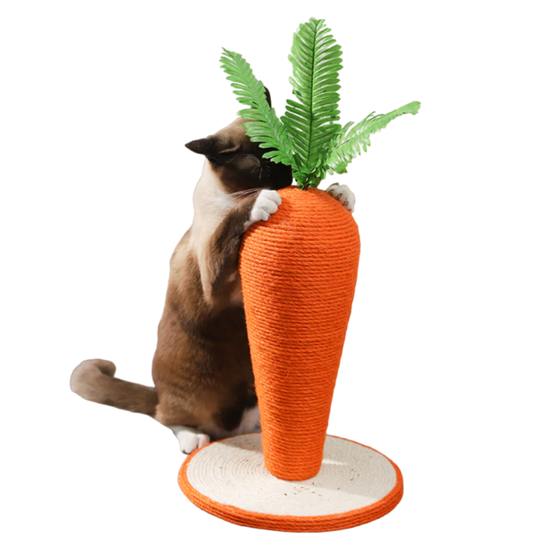 Carrot Cat Scratching Post - Shop for less