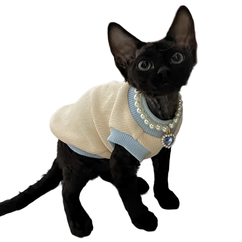 Cat Pearl Collar - Shop for less