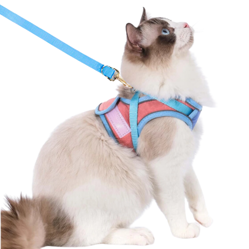 Cat Harness & Leash - Shop for less