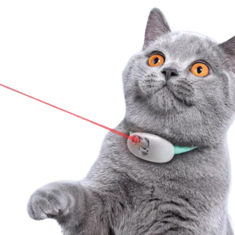 Cat Laser Collar - Shop for less