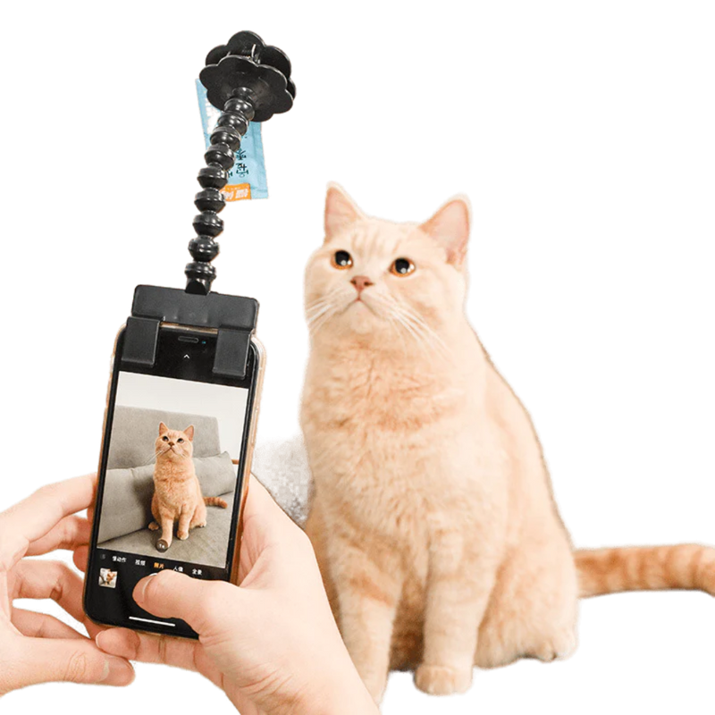 Snapcat Selfie Stick - Shop for less