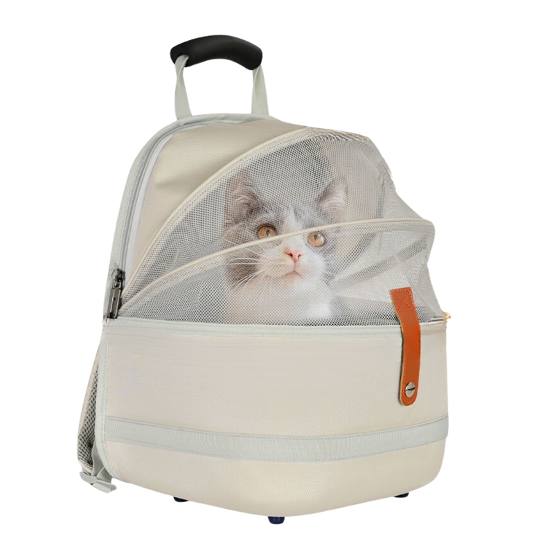 Cat Backpack - Shop for less