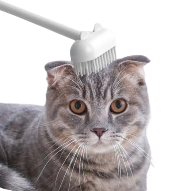 Purr Spot Brush - Shop for less